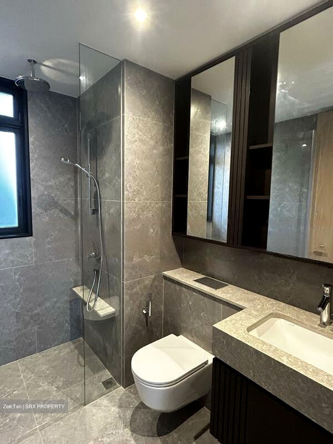 KI Residences at Brookvale (D21), Condominium #458659401